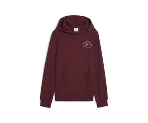 PUMA Sweat à Capuche Graphique pour garçon
