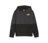 PUMA Sweat à Capuche Power Logo Love Colorblock G