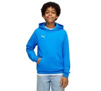 Puma Sweat à Capuche Teamgoal Casuals