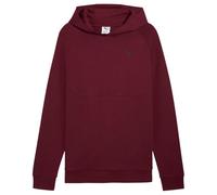 PUMA Sweat à Capuche Tech DK