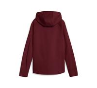 Puma Sweat À Capuche Zippé Evostripe Femme, Vêtements, Ruby Shimmer, M