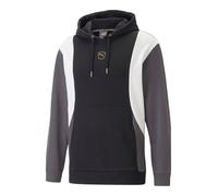 Sweatshirt à capuche Puma KING Top Hoody 4065453642371 taille M EU