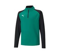 PUMA Sweat de sport 'TeamLiga 14' vert / noir, Taille 116