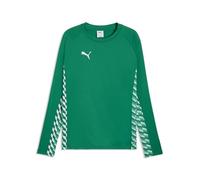 Puma Sweat d'entraînement Teamliga26 pour Homme