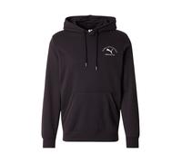 PUMA Class Graphic Hoodie FL