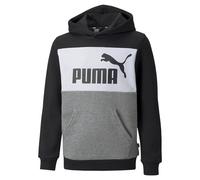 Puma Sweat-shirt Essentials+ Colorblock Fl