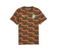 PUMA T-shirt à imprimés ftblCulture Côte d'Ivoire Homme, Accessoires, Vert, S S