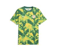 PUMA T-shirt à imprimés ftblCulture Sénégal Homme, Accessoires, Vert, L L