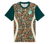 Puma Costa De Marfil 24/25 Pre Match Short Sleeve T-shirt Vert S Homme