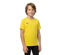 Puma T-shirt à Manches Courtes Teamgoal 23 Casuals