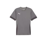 PUMA T-Shirt fonctionnel gris / gris foncé / blanc, Taille XXL