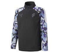 PUMA T-Shirt fonctionnel 'Neymar Jr Creativity' bleu clair / pierre / violet foncé / noir, Taille 128