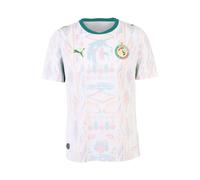 PUMA T-Shirt fonctionnel 'Senegal 2026' bleu ciel / vert gazon / rose / blanc, Taille XL