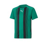 PUMA teamLIGA Striped Jersey Jr