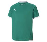 PUMA T-Shirt fonctionnel 'TeamLIGA' émeraude / blanc, Taille 116