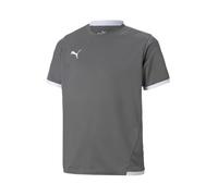 PUMA T-Shirt fonctionnel 'TeamLiga' gris basalte / blanc, Taille 116