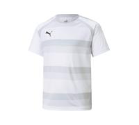 PUMA T-Shirt fonctionnel 'TeamVision' gris / greige / gris clair / noir, Taille 128