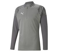 Sweatshirt Demi-Zip PUMA teamCUP gris F13 M