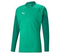 PUMA Teamcup T-Shirt d'entraînement à Fermeture Éclair 1/4 pour Homme Coupe ajustée