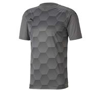 Puma Teamfinal 21 Graphic Jersey Maillot Homme Steel Gray-Puma Black FR: L (Taille Fabricant: L)