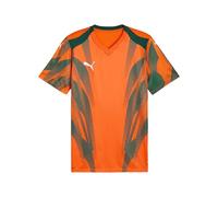 PUMA teamFINAL Graphic+ Jersey