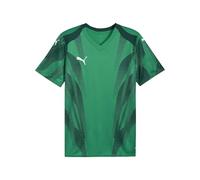 PUMA teamFINAL Graphic+ Jersey