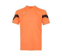 PUMA Teamfinal Training Jersey Pull, Neon Citrus Black Silver, M Homme