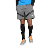 Puma Teamfinal Training Short pour Homme