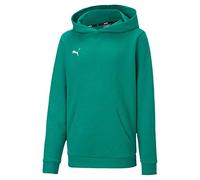 Puma teamGOAL 23 Casuals Hoody Jr Pull Mixte Enfant, Pepper Green, FR Unique (Taille Fabricant : 128)