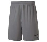 Puma teamGOAL 23 Knit Shorts Homme, Steel Gray, S
