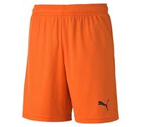 PUMA teamGOAL 23 Knit Shorts jr Short Enfant Golden Poppy FR : Taille Unique (Taille Fabricant : 176)