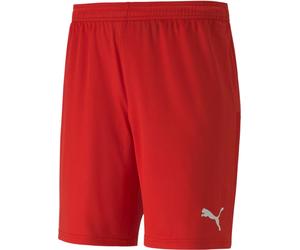 Puma teamGOAL 23 knit Shorts Shorts L