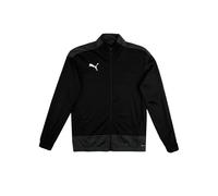 Puma Teamgoal 23 Training Jacket Jr Veste de Survêtement Garçon, Black-Asphalt, 128
