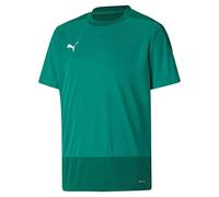 Puma teamGOAL 23 Training Jersey Jr T-Shirt Mixte Enfant, Pepper Green-Power Green, 116