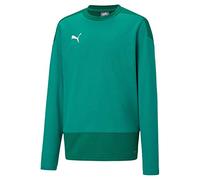 Puma teamGOAL 23 Training Sweat Pull Homme, Pepper Green-Power Green, FR : L (Taille Fabricant : L)