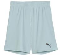 PUMA teamGOAL Short Jr