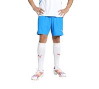 Puma teamGOAL Shorts, Short en Maille Adultes Unisexes, Ignite Blue-Puma White, 705752