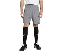 Puma short teamGOAL en maille unisexe adultes Cast Iron-Puma White 705752