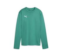 PUMA Teamgoal Training Sweat WMN Sudation Femme