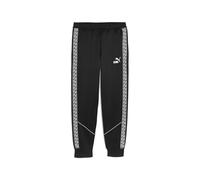 PUMA teamKING Pantalon Anthem