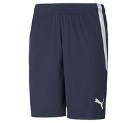 PUMA Teamliga Shorts, Caban/Blanc, M Hommes