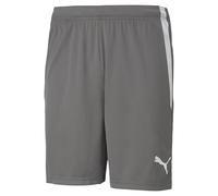 Puma Shorts Teamliga Modèle Court Mixte Smoked Pearl