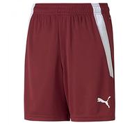 PUMA Teamliga Shorts Jr Mixte bébé - Marron - 15-16 ans