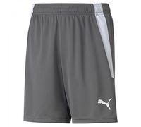 PUMA Short Teamliga Jr mixte bébé Gris (Pearl-p Fumé) Taille 152 EU