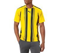 Puma Teamliga T-Shirt en Jersey rayé pour Homme (Lot de 1)