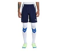 PUMA teamLIGA Training Shorts, Peacoat-puma White, XL