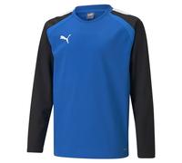 PUMA teamLIGA sweatshirt enfants bleu F02 152