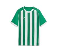 Puma Teamliga26 Striped Jersey Jr Maillots Mixte Enfant (Lot de 1)