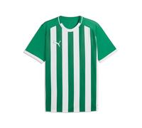 Puma Teamliga26 Striped Jersey Maillots Homme (Lot de 1)