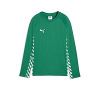 Puma Teamliga26 Sweat d'entraînement pour garçon